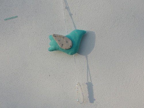 Holubice. — foto 5