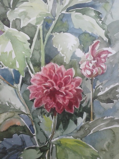 Květinová studie — foto 2