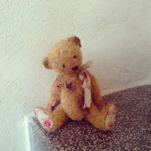 Medvídek Kuba — foto 2