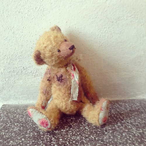 Medvídek Kuba — foto 3