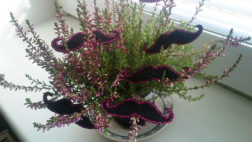 Mustache — foto 5
