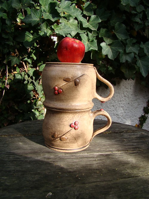 S brusinkami...buclák 0,7 l — foto 2