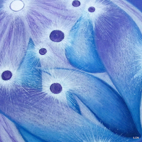 Mandala Možností — foto 5