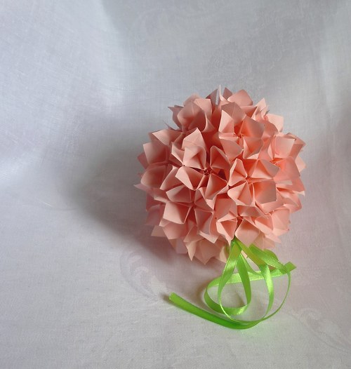 Pelargonium zonale — foto 2