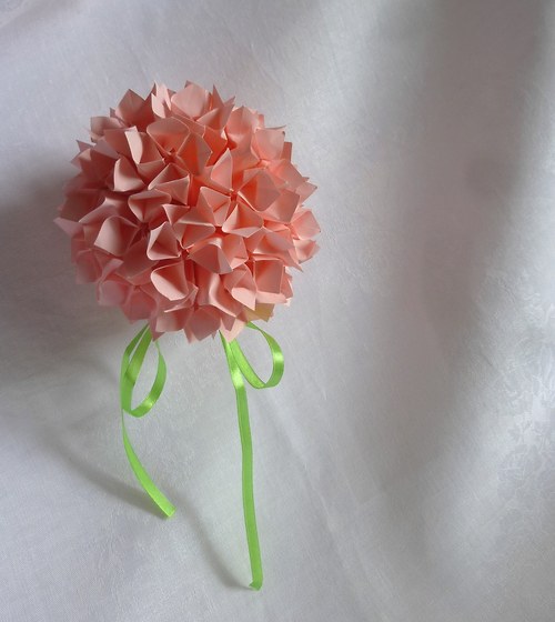 Pelargonium zonale — foto 3