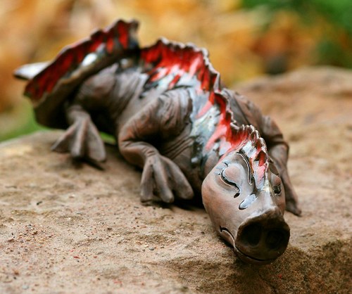 Ohnivý drak — foto 2