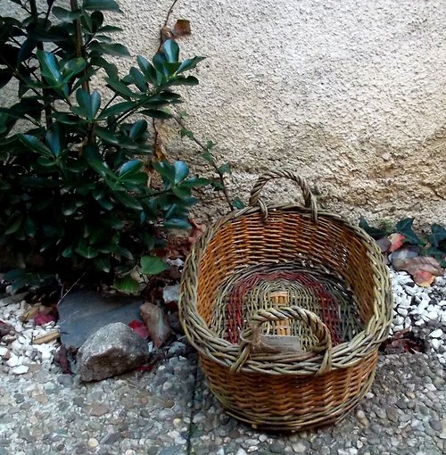 Ošatka na ovoce — foto 2