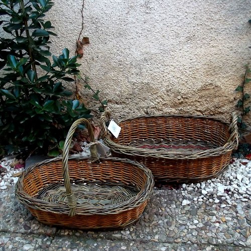 Ošatka na ovoce — foto 3