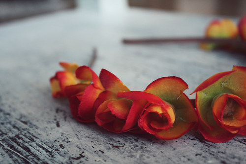 Hallo beauty ! — foto 2