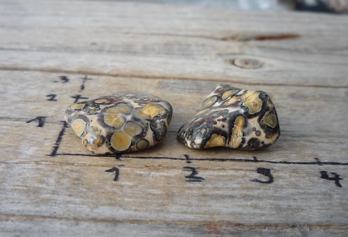 2 x Jaspis leopardí P2962 — foto 2