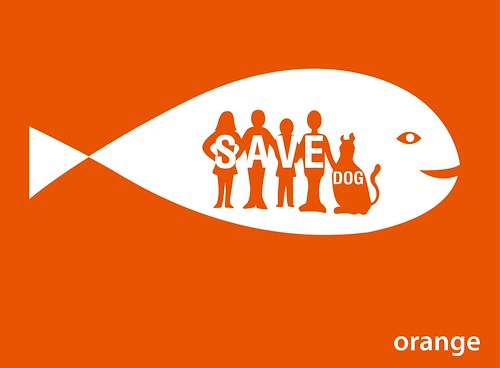 Save dog Ringer — foto 2