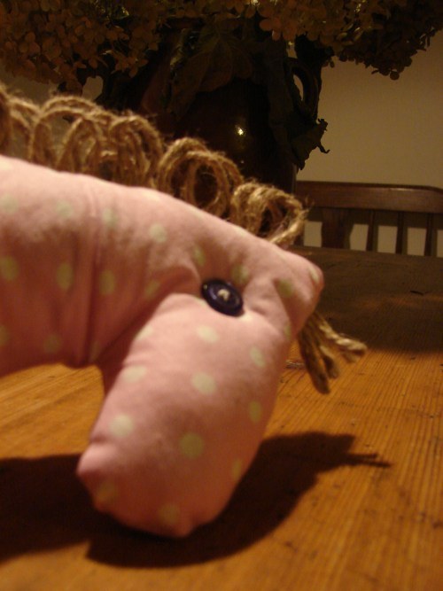 Koník Levandulín — foto 2