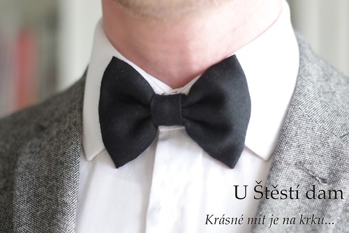 Pánský motýlek "Samuel" — foto 2