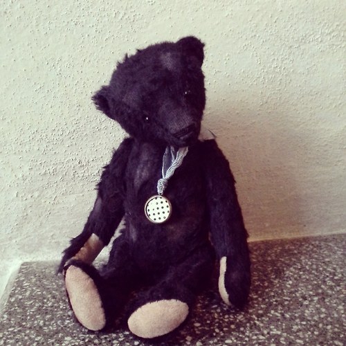 Medvídek Bruno — foto 2
