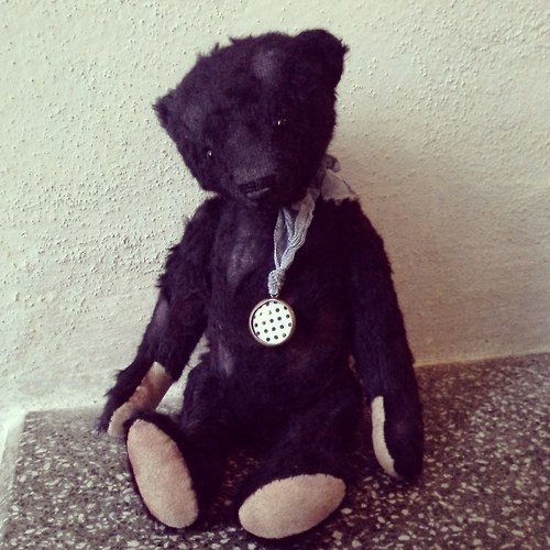 Medvídek Bruno — foto 5