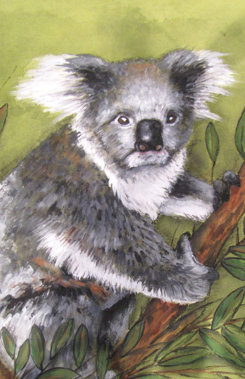 Koala, na objednání — foto 3