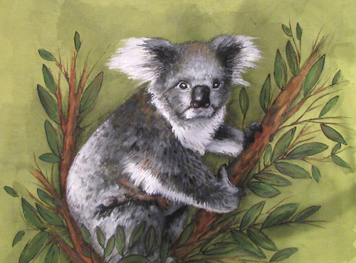 Koala, na objednání — foto 4