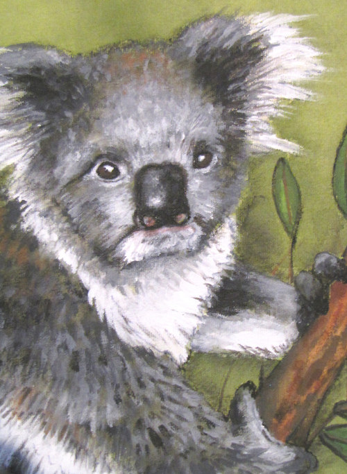 Koala, na objednání — foto 5