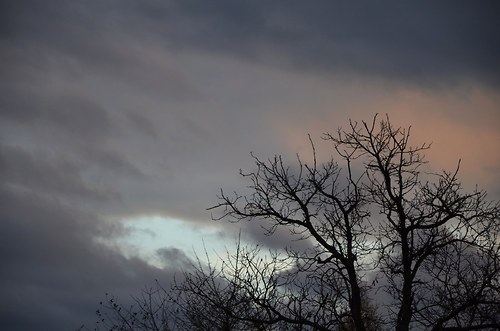 Prší. — foto 5
