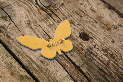 Ornithoptera Croesus brož — foto 2