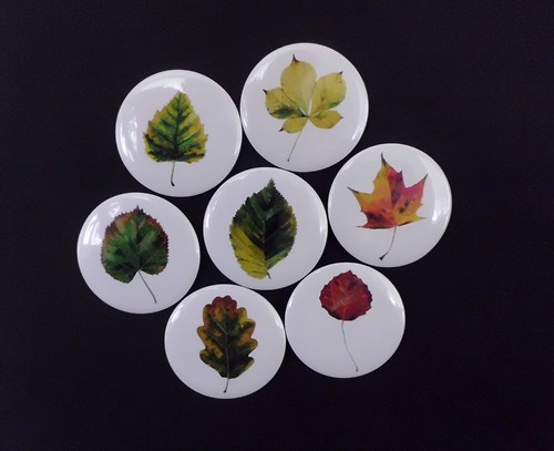 Aesculus hippocastanum. Magnet 56mm. — foto 4