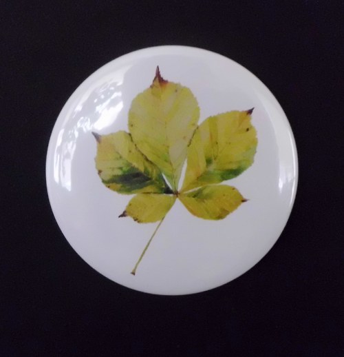Aesculus hippocastanum. Magnet 56mm. — foto 2