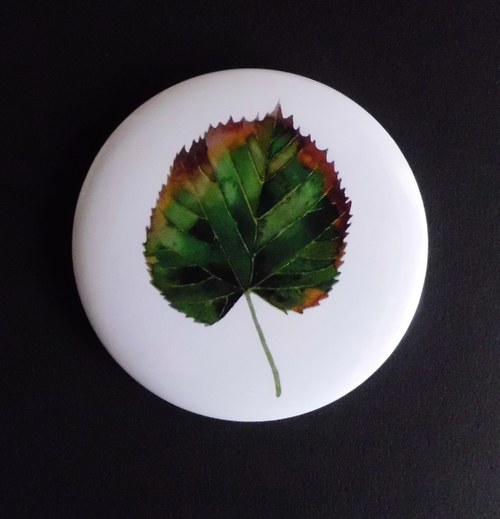 Tilia cordata. Magnet 56mm. — foto 3