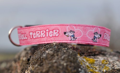 Obojek Russell teriér - růžový — foto 2