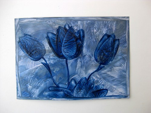 Modré tulipány — foto 2