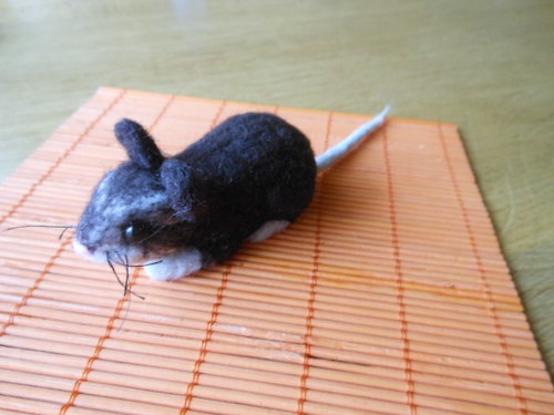 Plstěná myška — foto 2