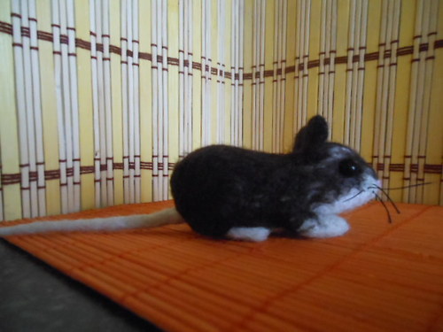 Plstěná myška — foto 3
