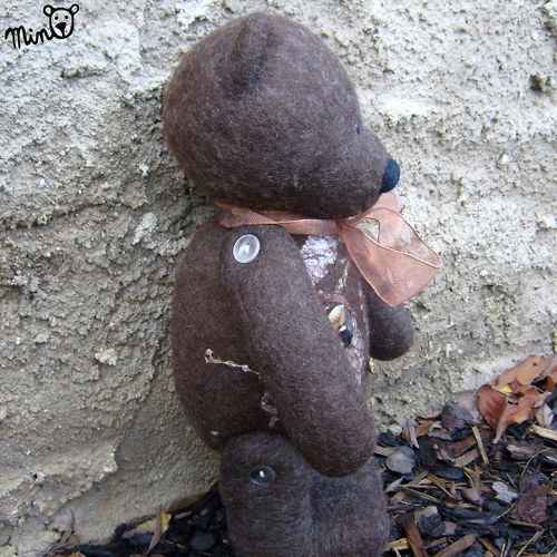 Roger — foto 3