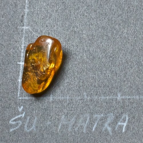 Jantar přírodní — foto 2