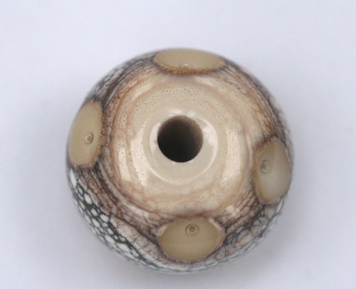 Okatá vinutka — foto 3