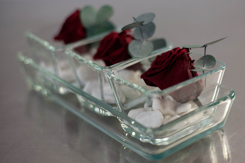 Elegance — foto 3