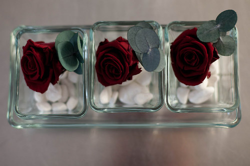 Elegance — foto 4