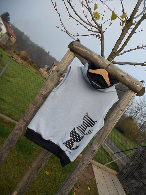 Vesta kočíčí - sítotisk — foto 2