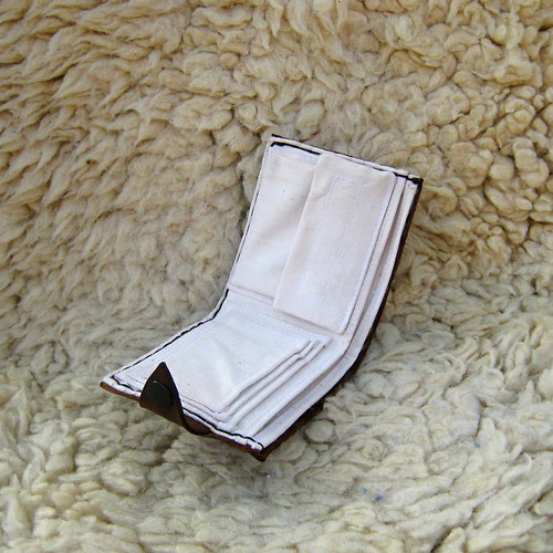 S obdivem k Zemi — foto 3