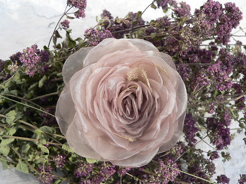 Where the wild roses grow - sponečka — foto 2