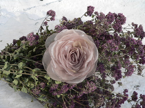Where the wild roses grow - sponečka — foto 4