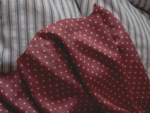Puntík — foto 3