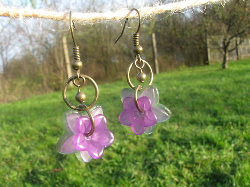 Hepatica nobilis — foto 3
