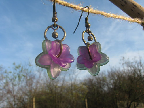 Hepatica nobilis — foto 4