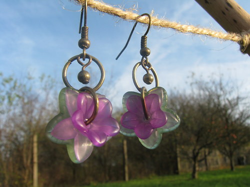 Hepatica nobilis — foto 5