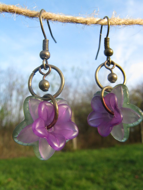Hepatica nobilis — foto 6