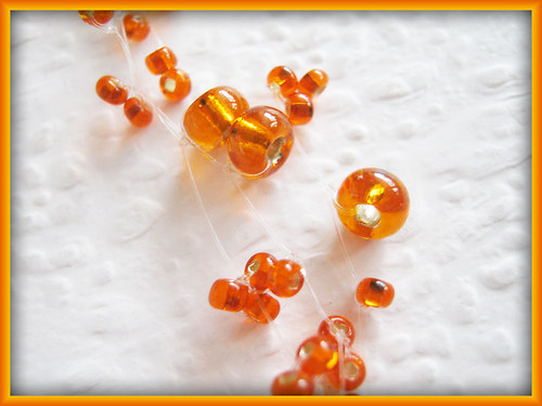 Oranžová motanička — foto 3