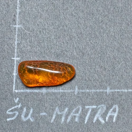 Jantar přírodní — foto 2