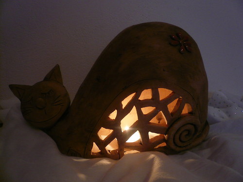 Svítící ospalý kočičák — foto 3