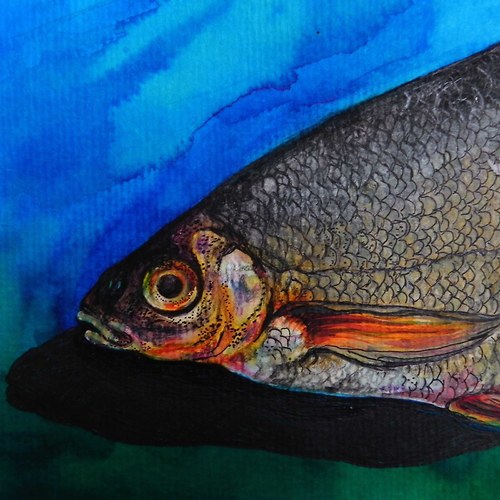 _fiSHii JACKET Silver Bream___Col.: Li.Li.Li.La — foto 5