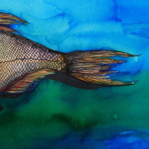 _fiSHii JACKET Silver Bream___Col.: Li.Li.Li.La — foto 6